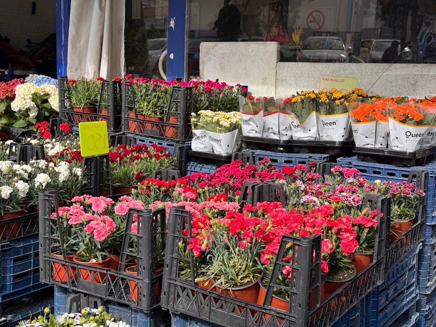 An outdoor display of various potted flowering plants arranged in black plastic crates and crates, including pink, red, white, and orange blooms, likely carnations or similar flowers. The flowers are 
