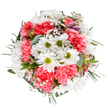 This hand-crafted bouquet radiates the essence of spring in Barbican-a cheerful gathering of white daisies and ruffled coral carnations, inspired by the neighbourhood's hidden pocket parks. The daisies, with their sun-bright petals and bold green centres, sit among plush carnation blooms that infuse the design with playful energy and warmth. Sprigs of delicate gypsophila, like tiny constellations, add airy dimension and grace, while subtle eucalyptus leaves provide a fresh, cool fragrance that conjures images of local city gardens after rain. Here and there, slender buds of alstroemeria emerge, their hints of purple and deep pink promising new blossoms to come. The bouquet is balanced and lush, framed by rich greenery that enhances the round, harmonious form seen clearly from above. Crafted by Barbican's own talented florists, it is a bright, uplifting choice for anniversaries, thank-yous, or simply to bring joy to a home or office overlooking the Barbican lakes. The overall impression is one of tranquillity, renewal, and community-a joyful floral celebration ready to be delivered throughout the EC2Y neighbourhood and beyond.